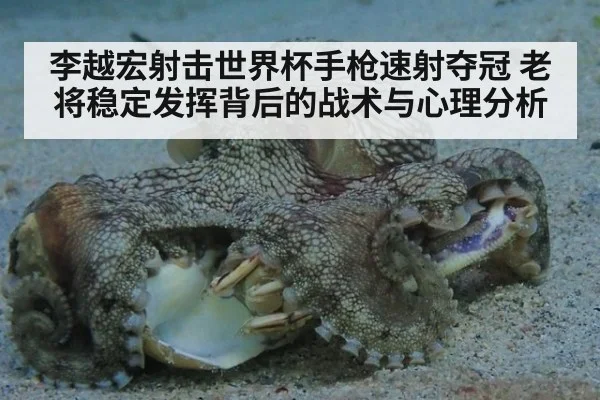 李越宏射击世界杯手枪速射夺冠 老将稳定发挥背后的战术与心理分析